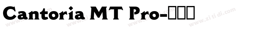 Cantoria MT Pro字体转换